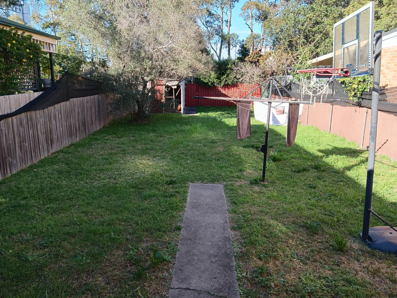 The back yard at Mascot House, a long lawn with a clothesline, a paved path and trees along the fence.